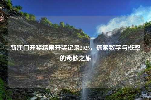 新澳门开奖结果开奖记录2025，探索数字与概率的奇妙之旅